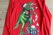 Blue Zoo Christmas top age 12 - 13