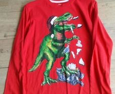 Blue Zoo Christmas top age 12 - 13