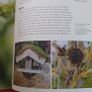 Gardeners World/ BBC Books/ Toby Buckland / Practical Gardening Handbook Image 7