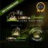Midlands garden services