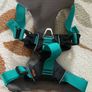 Sotnos dog harness (size S) Image 2