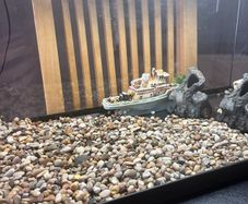 Fish tank