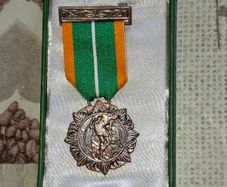 IRISH 1916 RISING Medals Irish War of Independence Replica PRICE IS FOR 1 ONLY Postage Available, Ideal for Dress Up, Stage, movies, Plays or Photos,