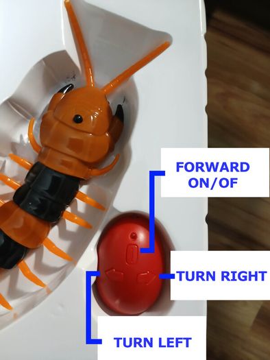 Moving toy Sentipede (Scolopendra Gigantea) (G01)