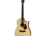 Aria Semi Acoustic Guitar
