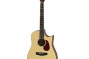 Aria Semi Acoustic Guitar