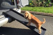 Dog Ramp