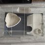 Rabbit cage and pet transport carrier. Image 2
