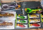 Selection of Pike Lures