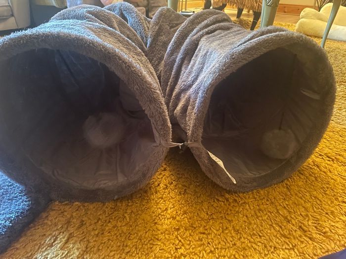 Cat Tunnel and Bed
