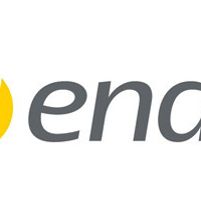 Endo Ventures Ltd Jobs in Ireland