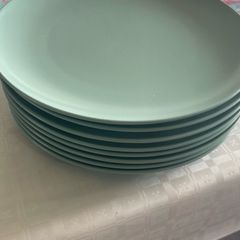 8 large dinner plates