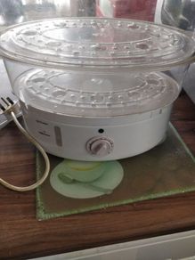 Electric steamer