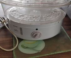 Electric steamer