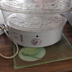 Electric steamer