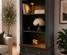 bookcase / bookshelf