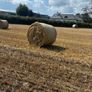 Straw m6 Kilbeggan Image 2