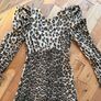 Zara animal print dress xs Image 3