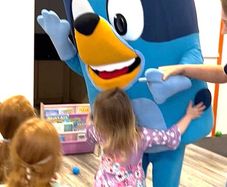 Bluey costume - High quality