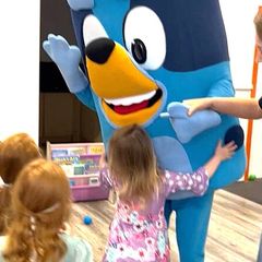 Bluey costume