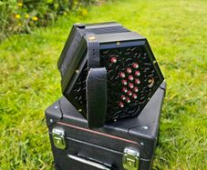 Concertina