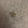 TAG Heuer Formula 1 Gold-Tone Bracelet Links Image 3