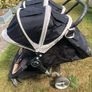 double buggy Image 2