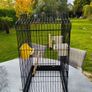 Bird Cage Image 2