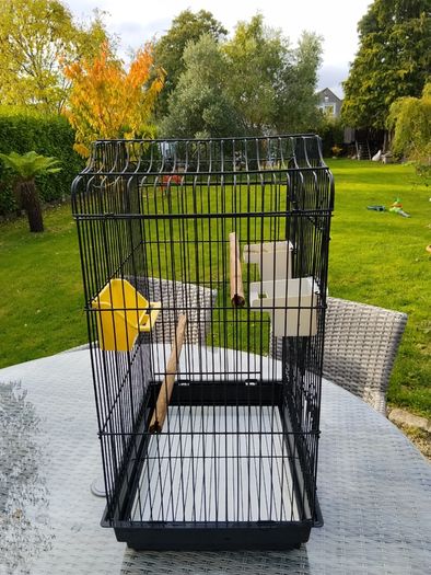 Bird Cage
