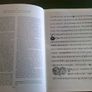 The Irish Hand Scribes and manuscripts with exemplar of scripts Ireland Dolmen Image 7