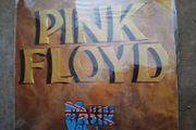 pink floyd