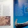 Scarce 1988 Booklet: Dublin 1000 (postage included) Image 4