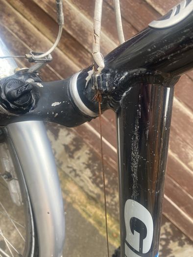 giant bike. Quick sale