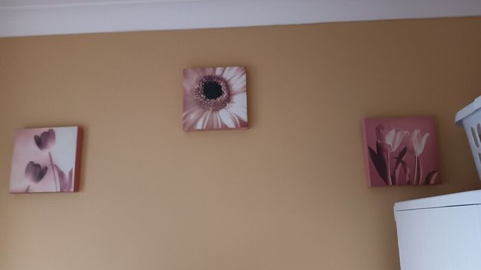 Canvas x 3