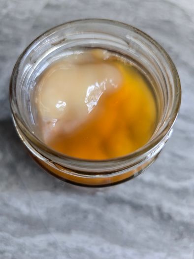 Healthy drink cambucha
