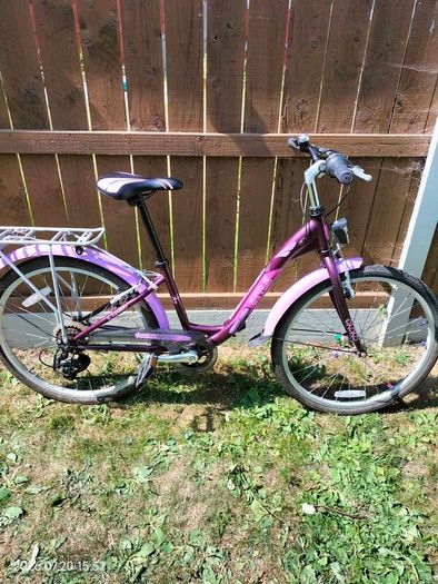 24" girls bike