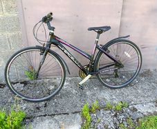Vercelli  ladies bike