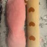 2 Long Cat Plushies Image 6
