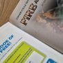 Fire and Ice 2 Junior Cycle English Textbook & Writing Skills Book Image 2