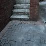 Patio bricks Image 4