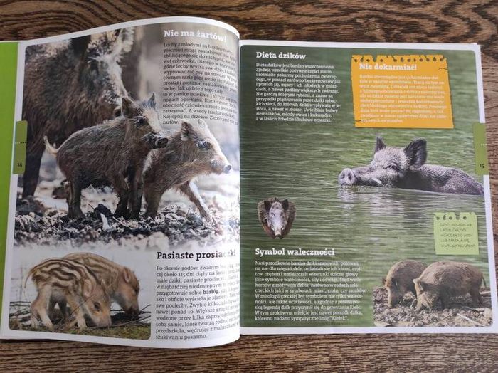 Polish Children's Nature Book, Age 6+