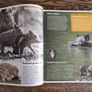 Polish Children's Nature Book, Age 6+ Image 5
