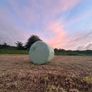 42 Bales of Haylage, Not chopped, good for horses Image 4