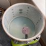 Vintage Ludwig 1970s Champagne Sparkle Toms Image 4