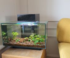 25l fish tank