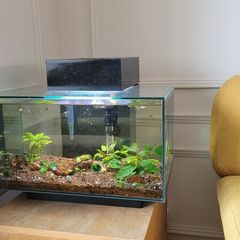 25l fish tank