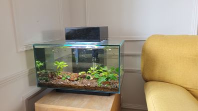 25l fish tank