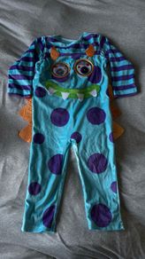 Monster University costume Sulley