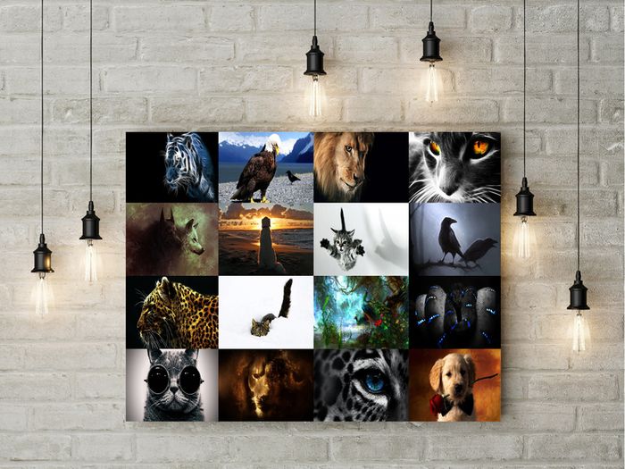 Animals printed Wall picture 3mm foamex board printed picture with animals picture on it wall board wall decor wall art picture