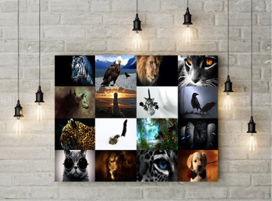 Animals printed Wall picture 3mm foamex board printed picture with animals picture on it wall board wall decor wall art picture